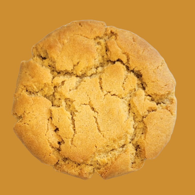 peanut butter cookie on brown background