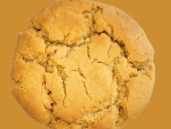 peanut butter cookie on brown background