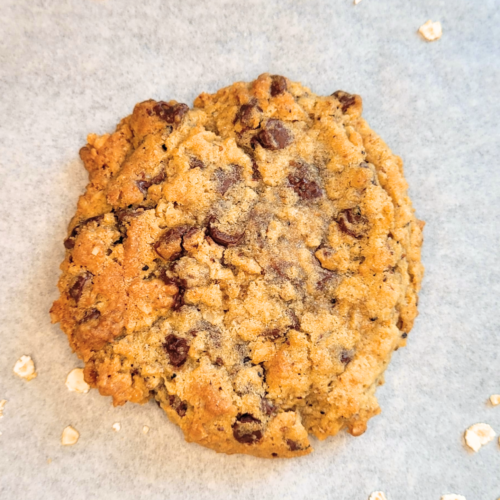 toasted oatmeal chocolate chip cookie