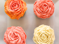 buttercream rose cupcakes