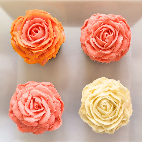 buttercream rose cupcakes